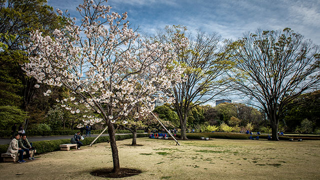 Tokyo